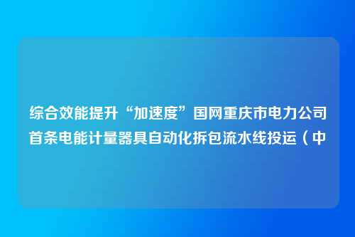 综合效能提升“加速度”国网重庆市电力公司首条电能计量器具自动化拆包流水线投运（中